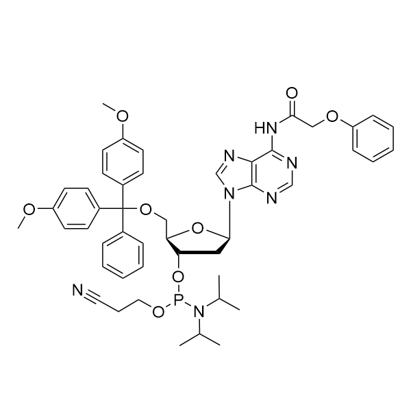 DMT-dA(PAc)-CE-Phosphoramidite